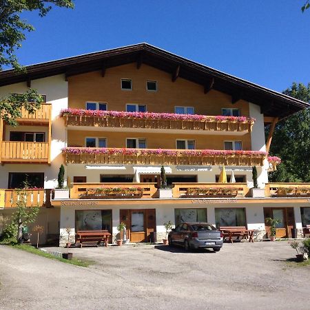 Sonnleiten - Guggerhof - Villa Sonnenwies 坦海姆 外观 照片