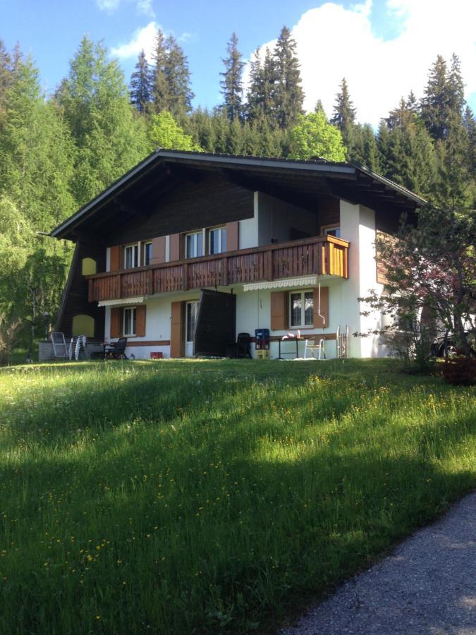 Sonnleiten - Guggerhof - Villa Sonnenwies 坦海姆 外观 照片